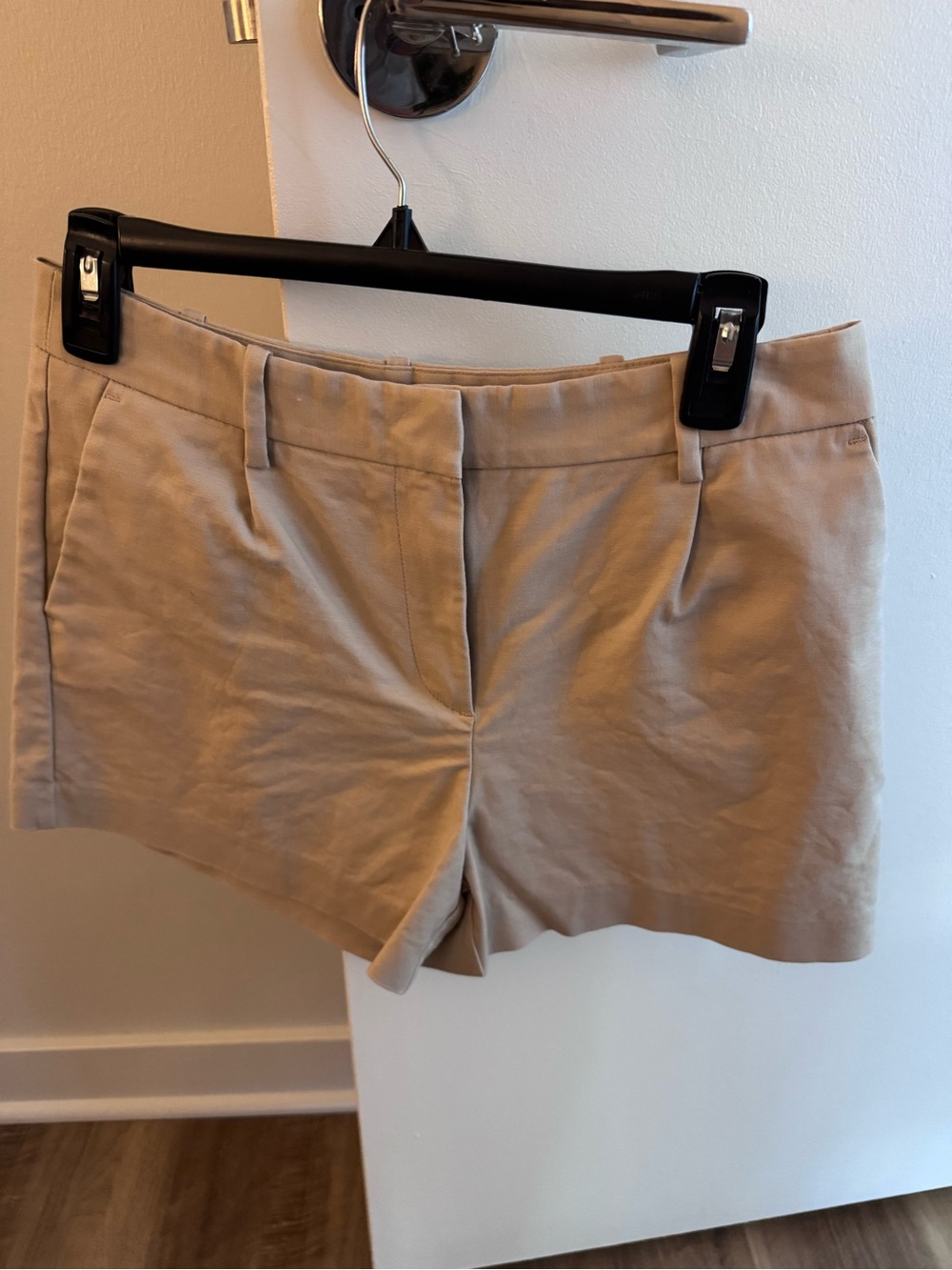 Zara Shorts
